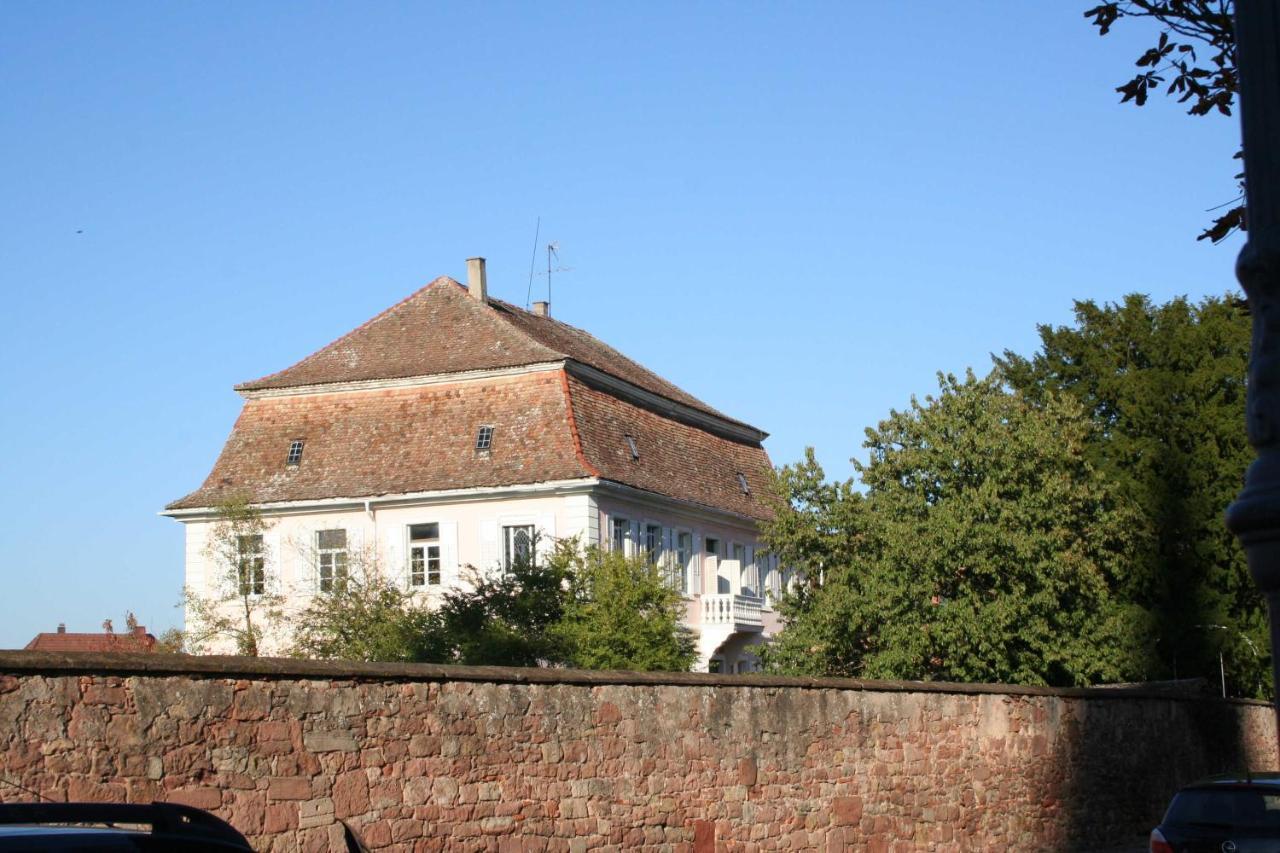 Ferienwohnung Spatzennest In Edesheim Exterior foto